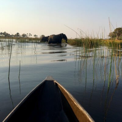 Mokoro ride - Okavango, Botswana